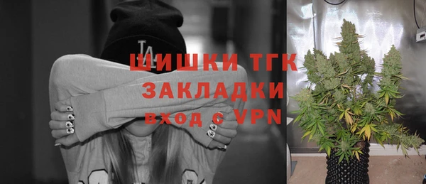 эйфоретик Арсеньев