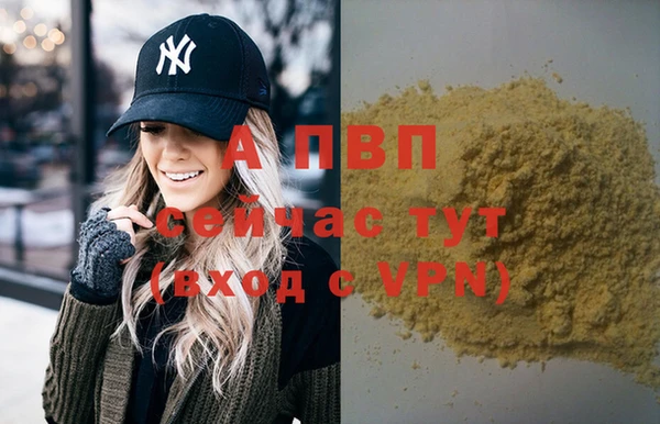 эйфоретик Арсеньев