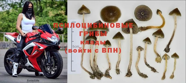 прущая мука Армянск