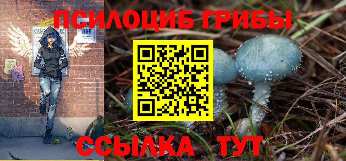 Псилоцибиновые грибы прущие грибы Мытищи